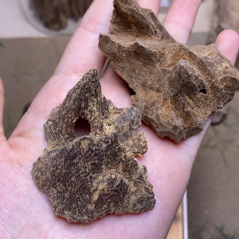 【闪购商品】香榧木大山7.6克