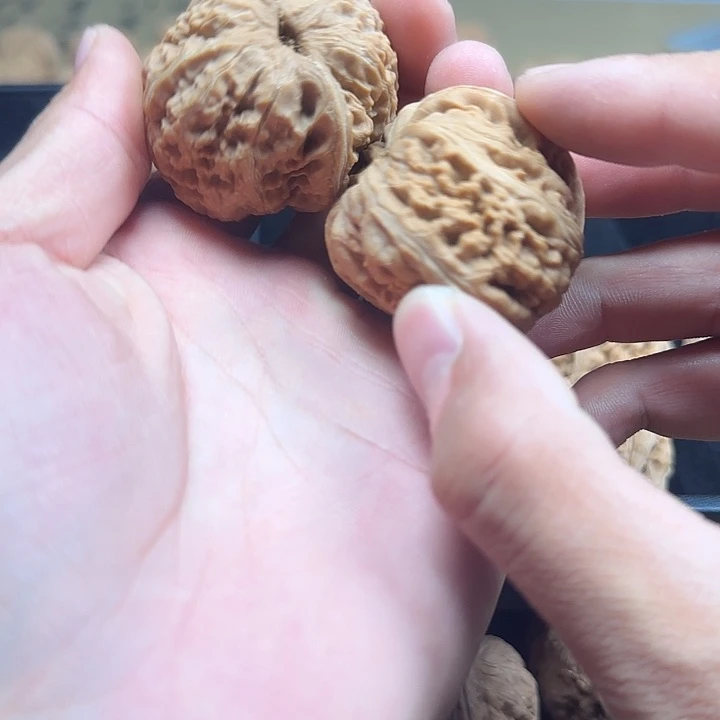 哎***！龙脊菩提吊坠啊啊啊啊啊平谷元宝7