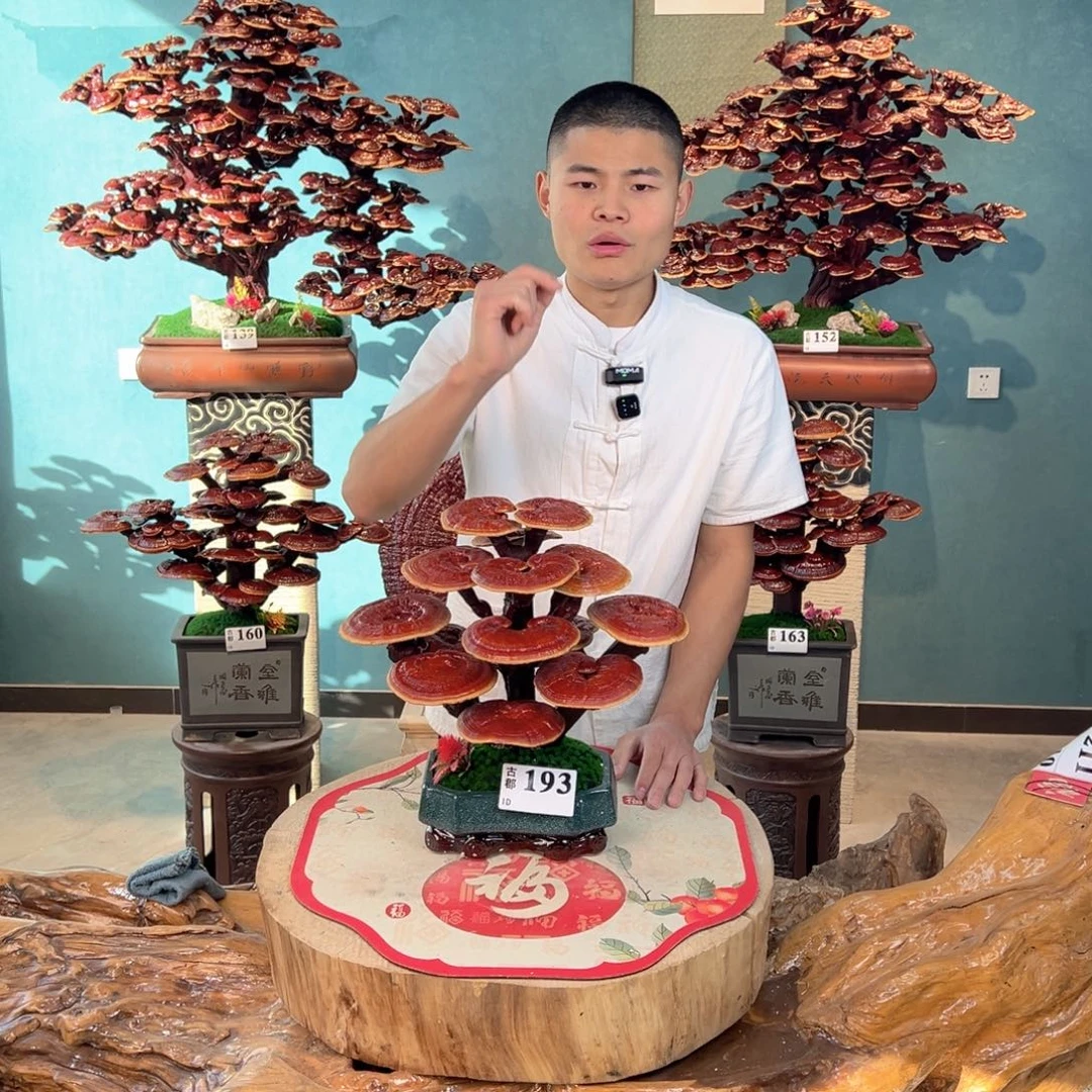 无花朵88888888888