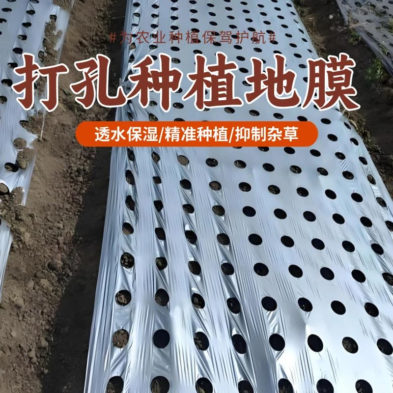 打孔银黑地膜农用种植除草保温1.2米宽大蒜四孔草莓地膜农用薄膜