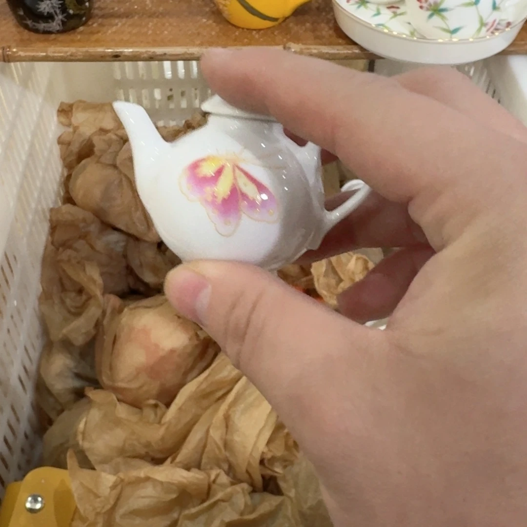 杯你好漂亮5376355896545