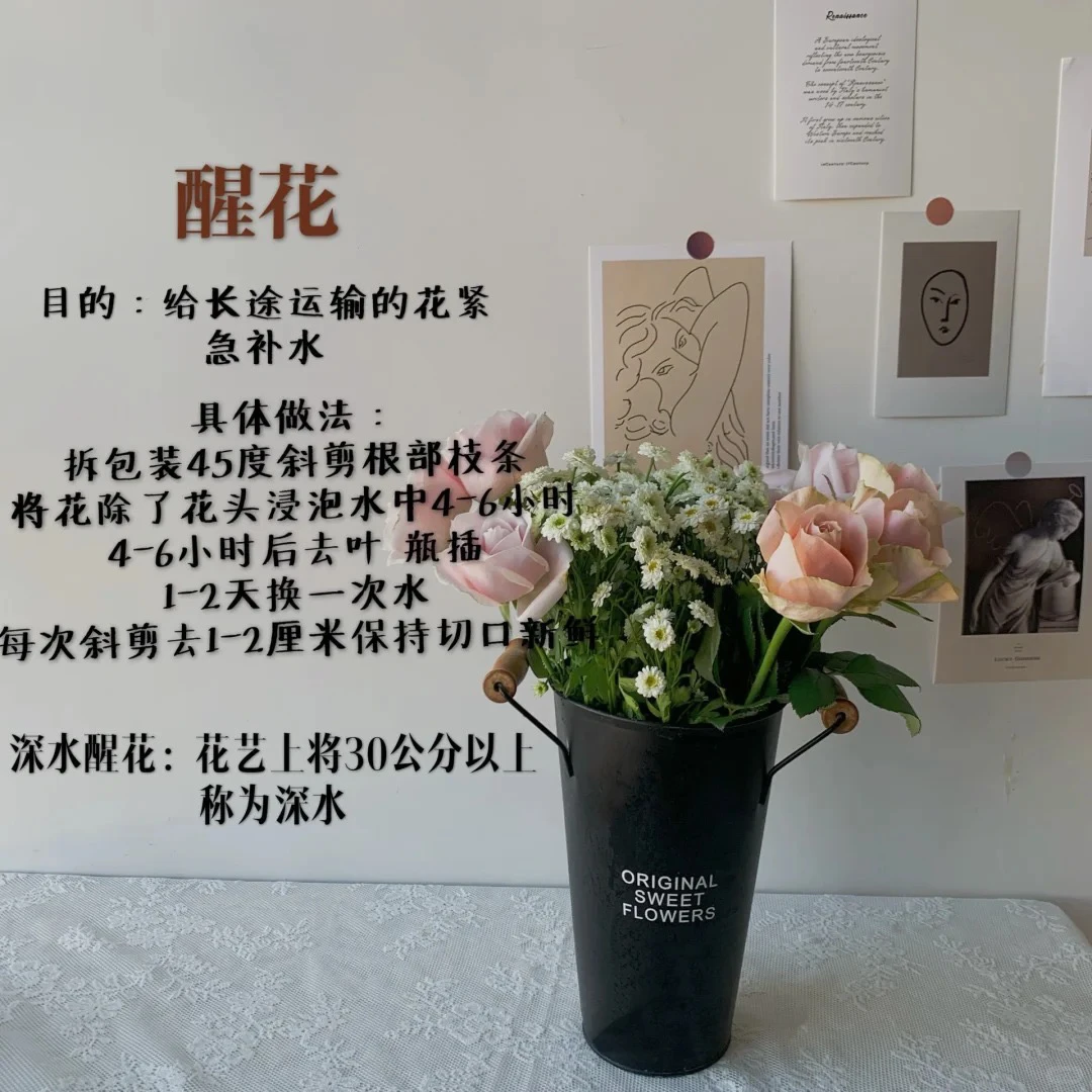 （曼）杏色果汁8支➕2支防损鲜花任意满两单包邮