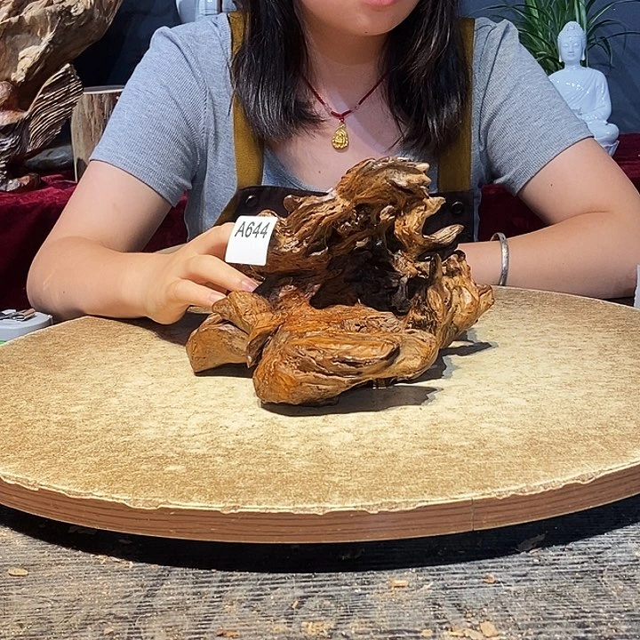 龙**下644株木随行的小根艺