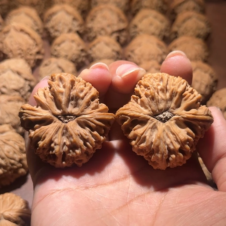 核桃手串/手链四**六南疆42，42+尺寸尖有浮黄点