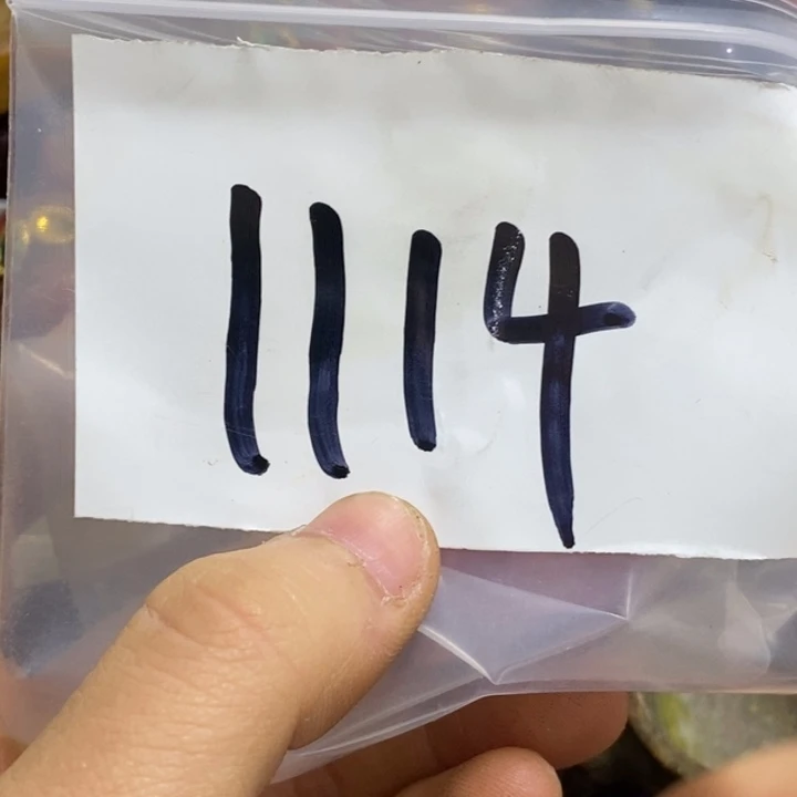 l***m五六七文玩专属连接