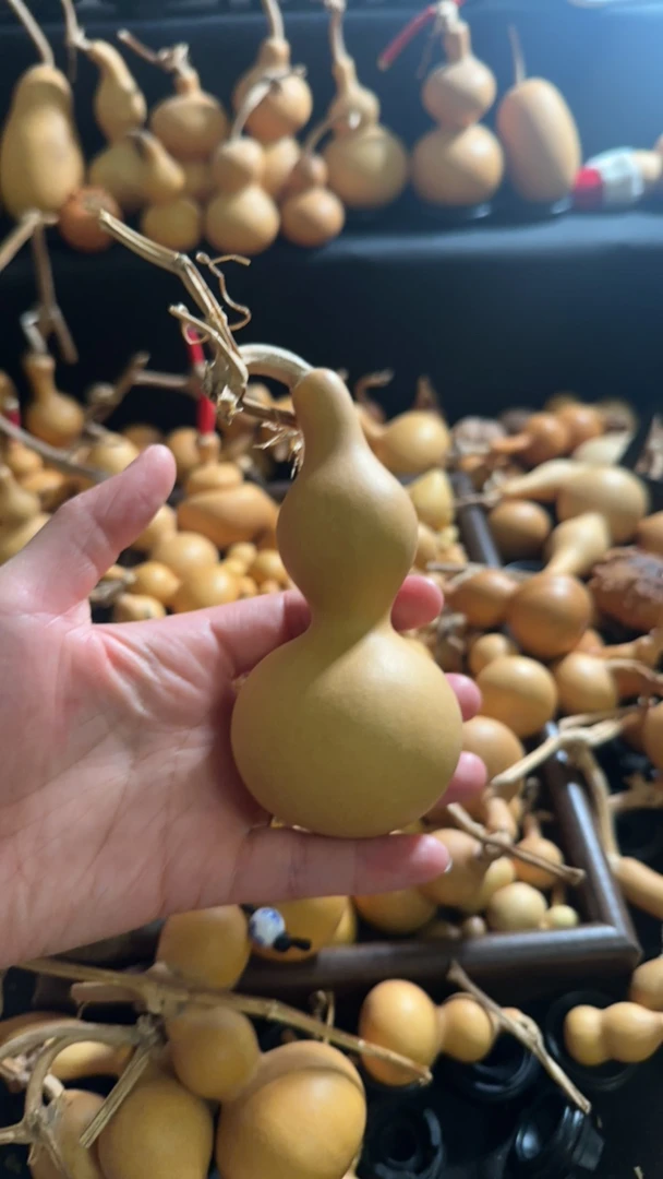 精品天然葫芦属一物一图