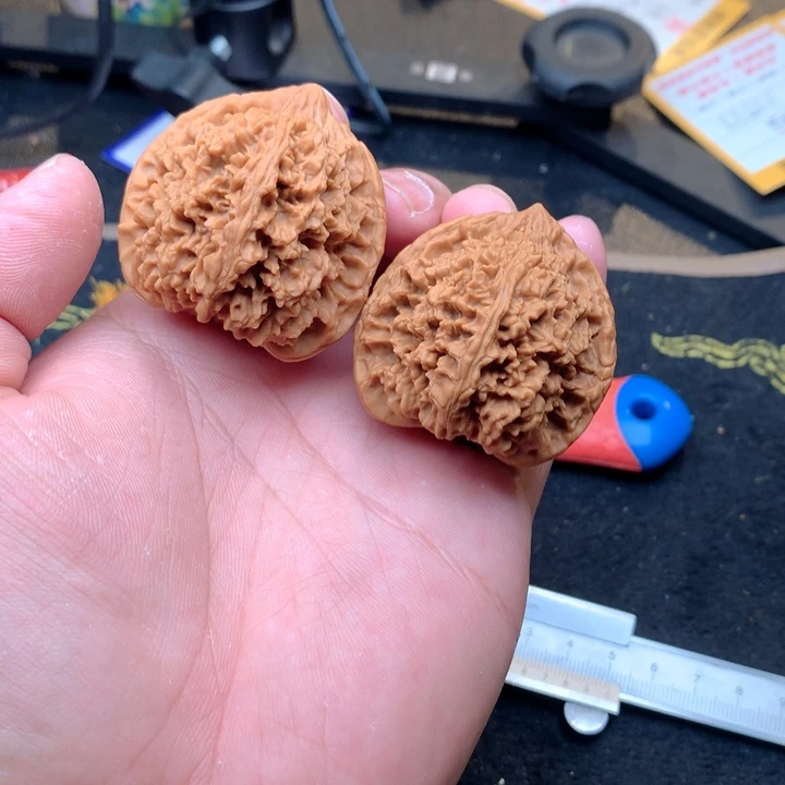 文玩核桃把件25号43全品星星