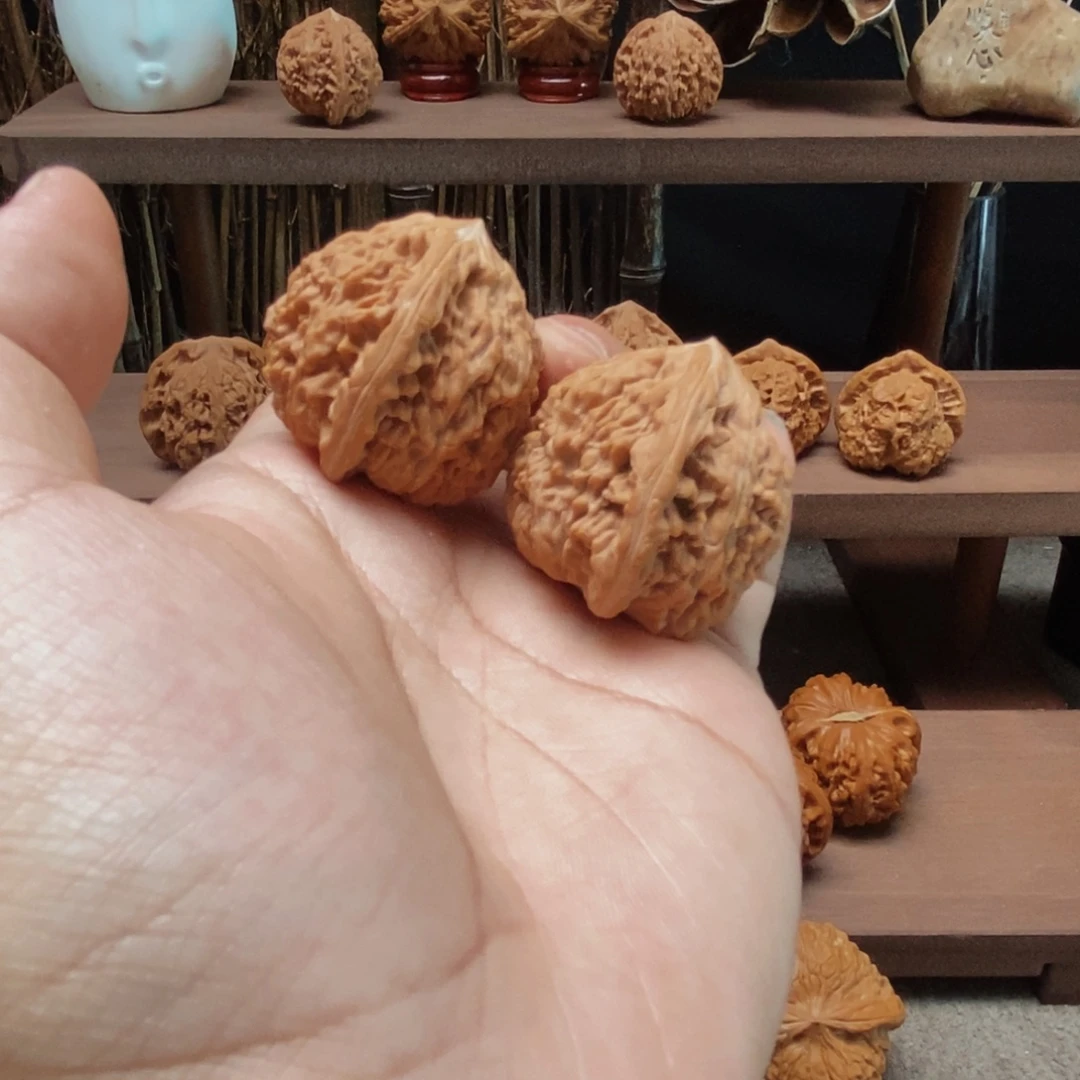 核桃手串/手链40全品毒龙