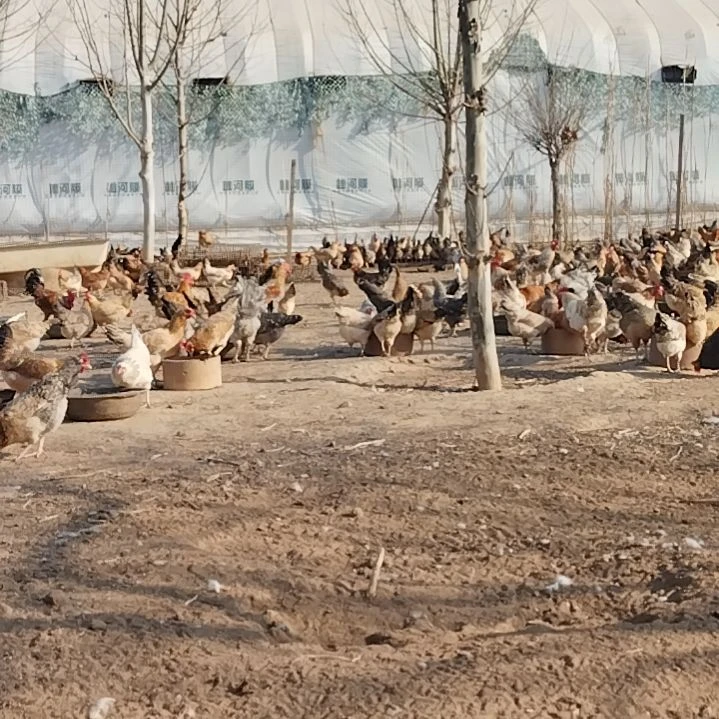 -18保质期三个月中国大陆