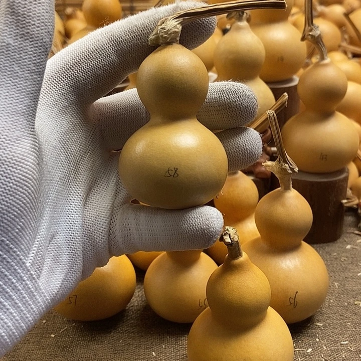 文玩葫芦 完美主义者 慎拍58