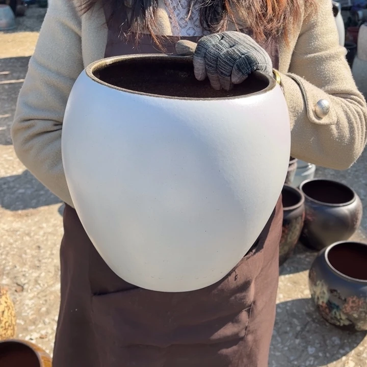 口20高27正品正品