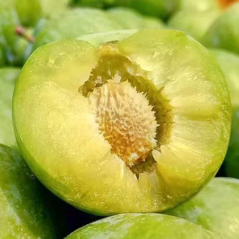 贵州本地李子江安李新鲜脱骨脆甜爽口江干李