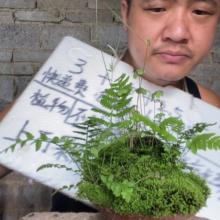 退款拉黑一物一拍68