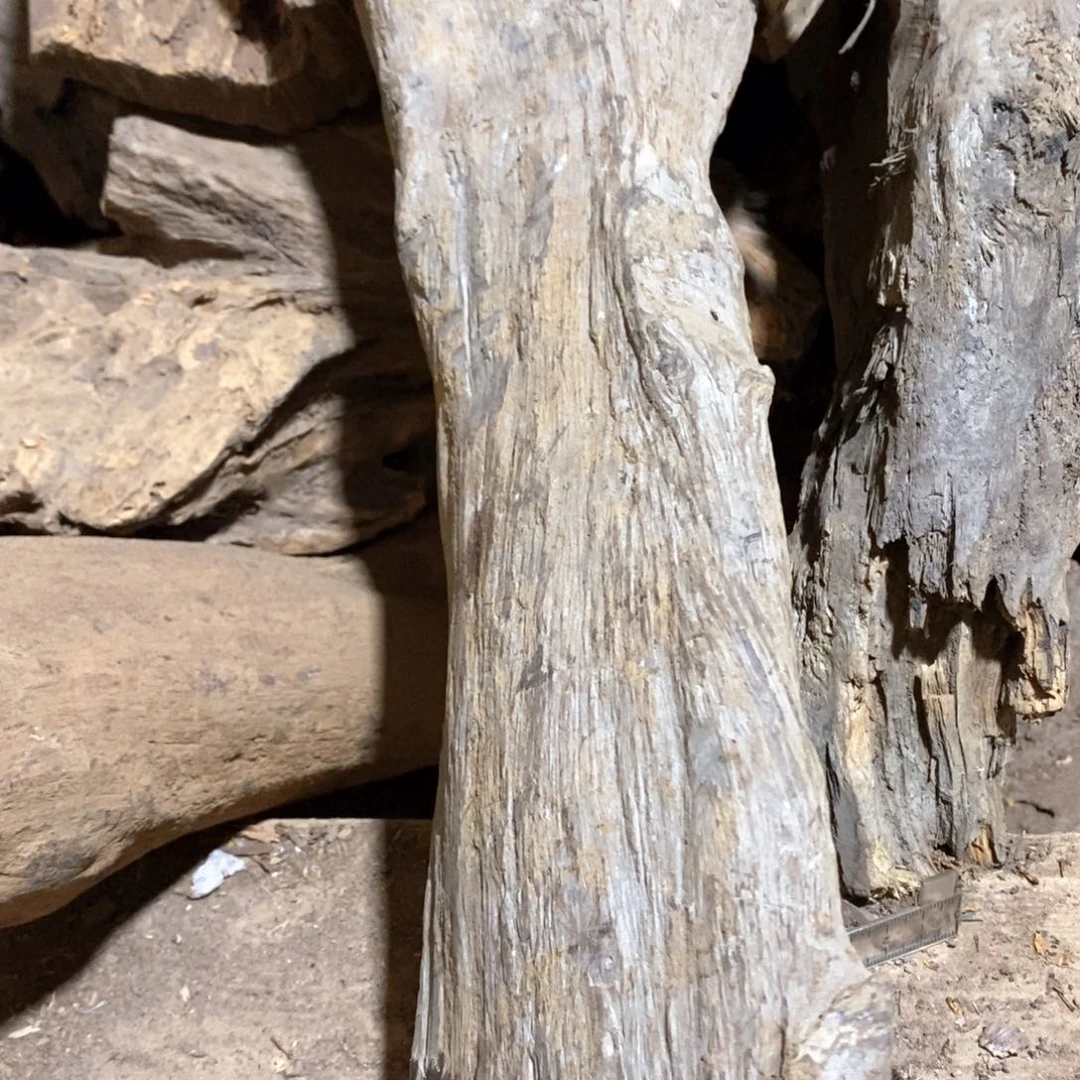 飞***翔贡木把件11111111111