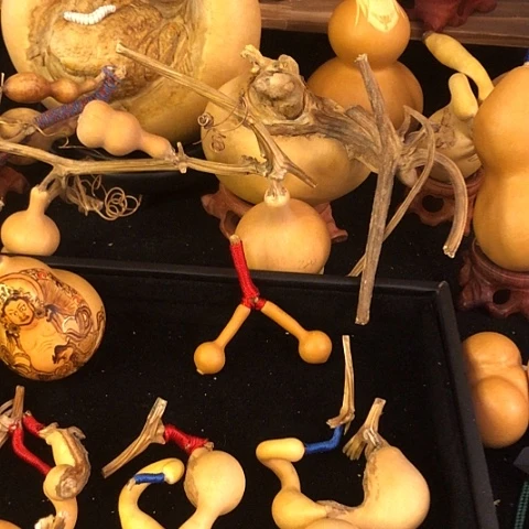 连支葫芦独霸葫芦