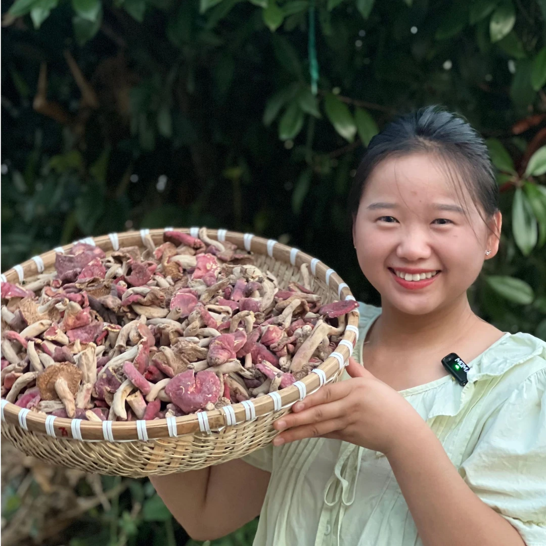《秋田里》四川高山红菇半斤/一斤包邮