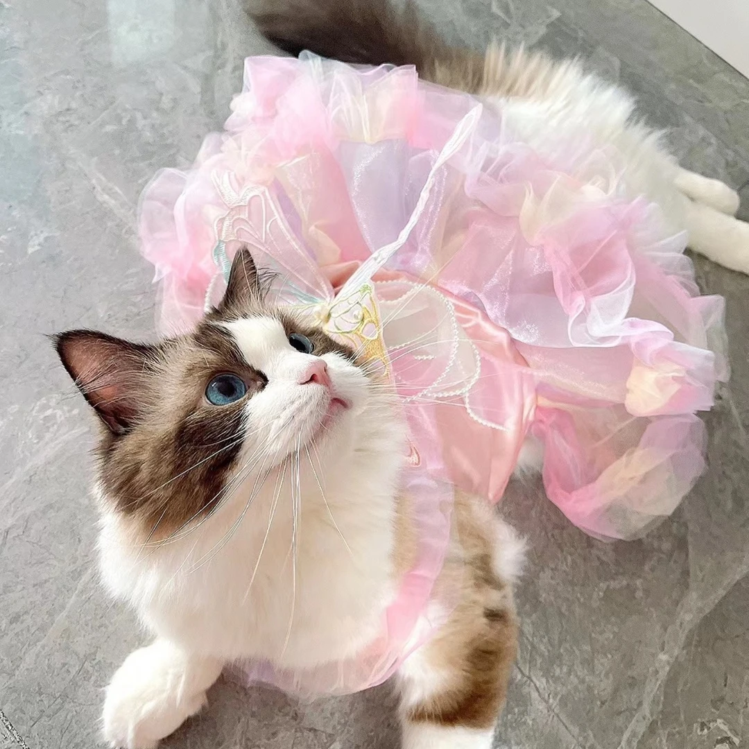 宠物猫狗适用蝴蝶公主裙婚纱连衣狗狗猫咪衣服用品