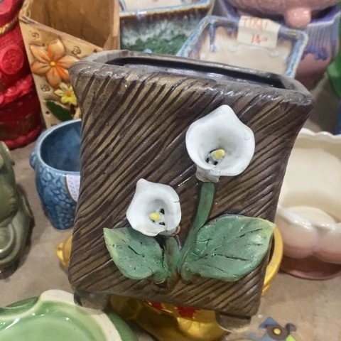 J马蹄莲3131331313