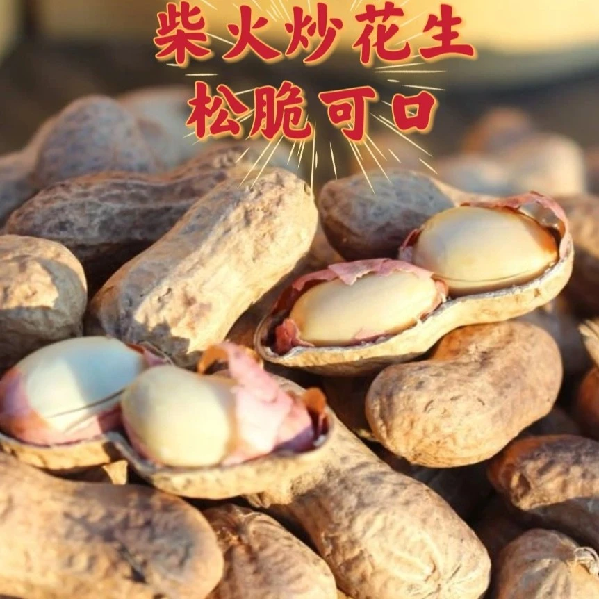 柴火炒花生酥酥脆脆皮薄肉大