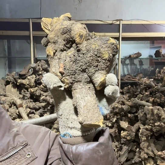 香榧木悠**天火琉璃的故事毛料摆件