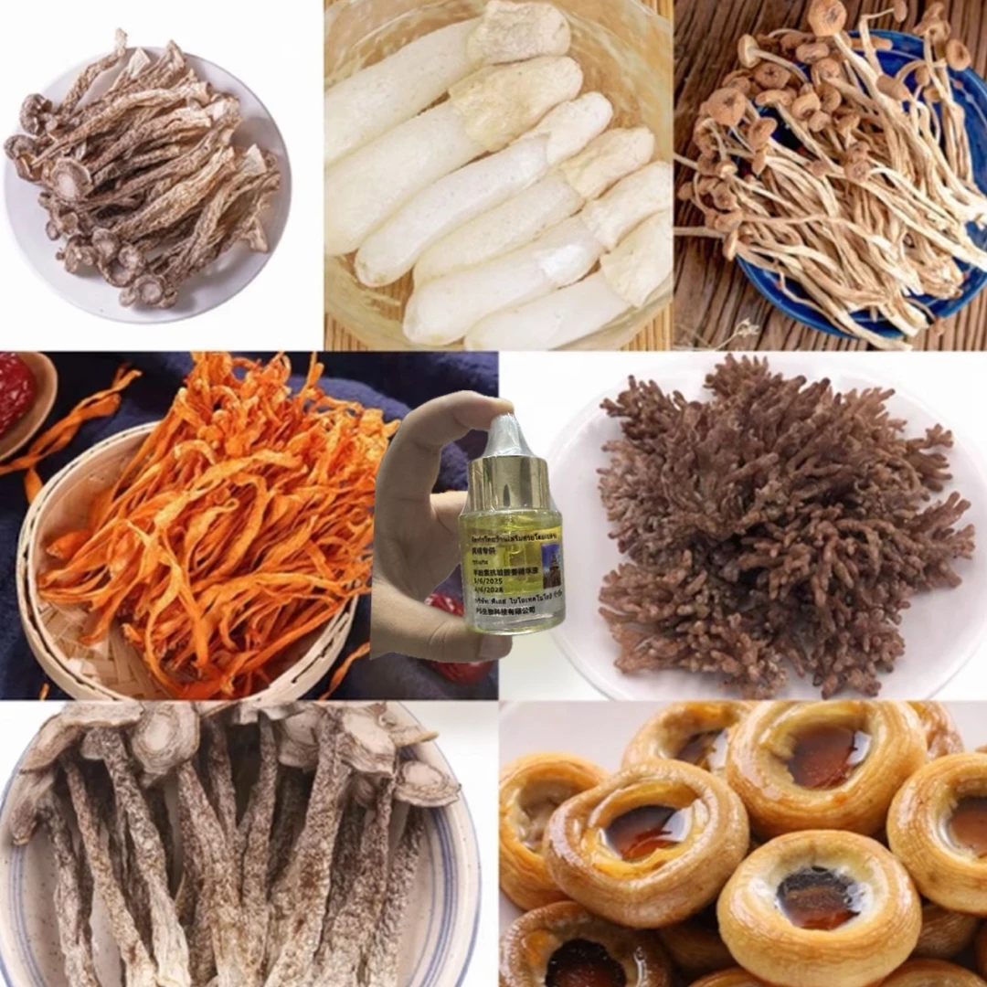 【中缅越边境】“羊月台素”回“椿”水 30g初级农产品———非香菇