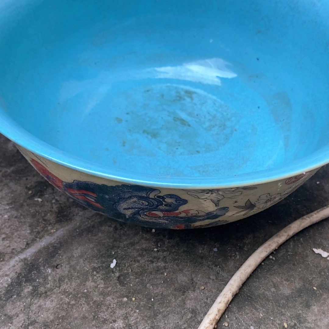 ccccccccccc纯纯粹粹瓷瓷