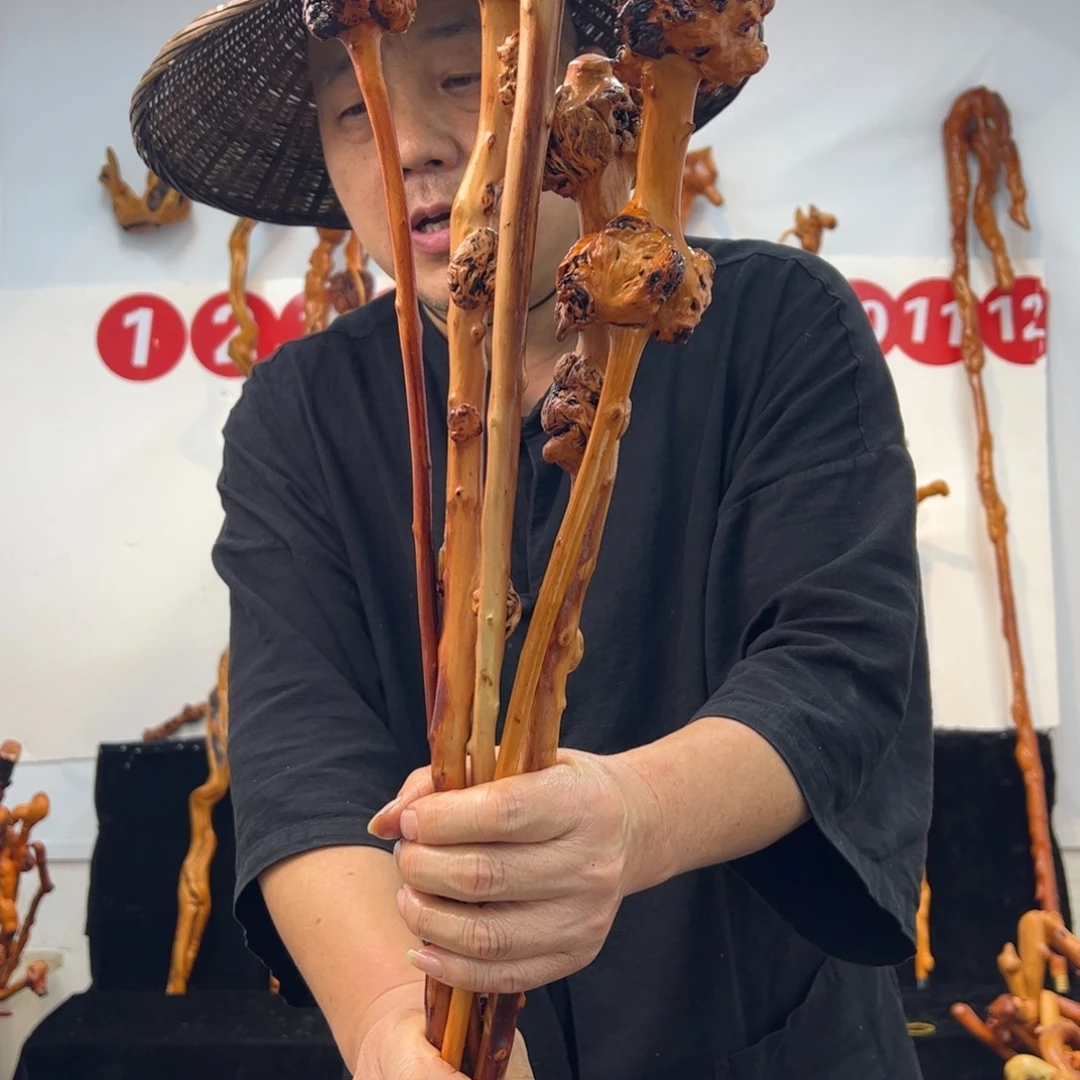 黑果木其他黑果木236