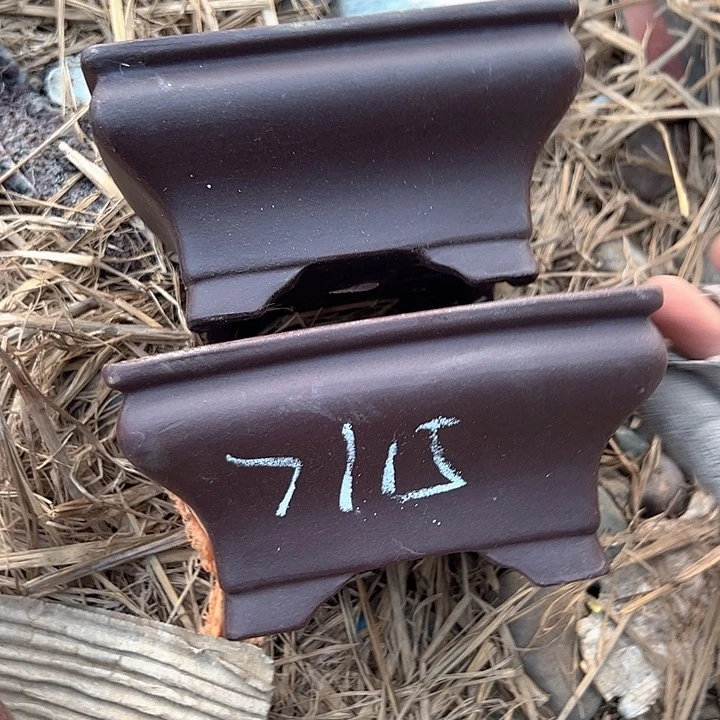 瑕疵吃瑕疵吃的尺寸瑕疵