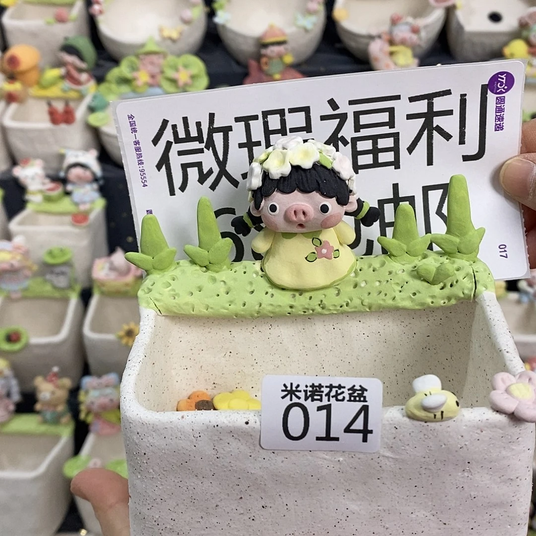 米诺多肉植物花盆014