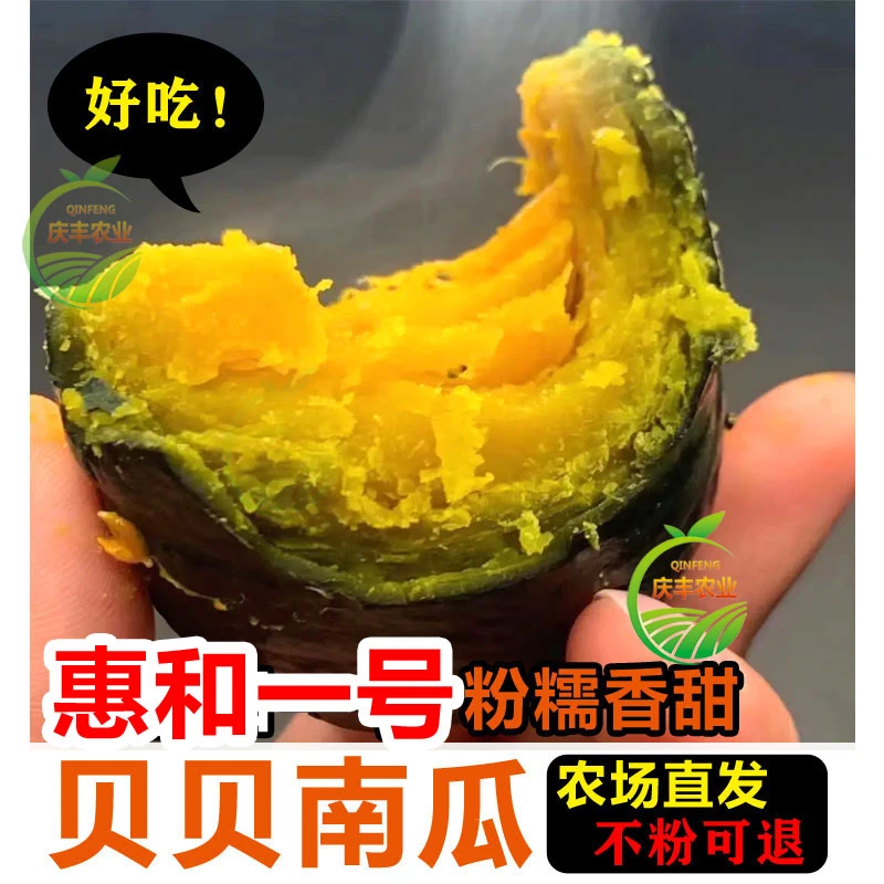 正宗惠和一号贝贝南瓜山东板栗味贝贝南瓜香甜软糯适合宝宝辅食