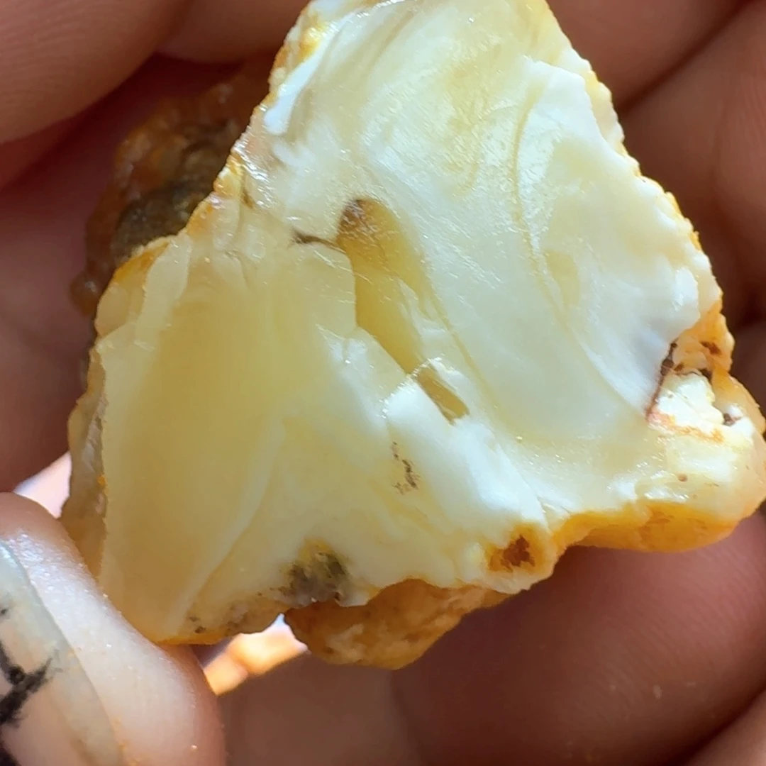 未镶嵌定制琥珀拉**者专拍