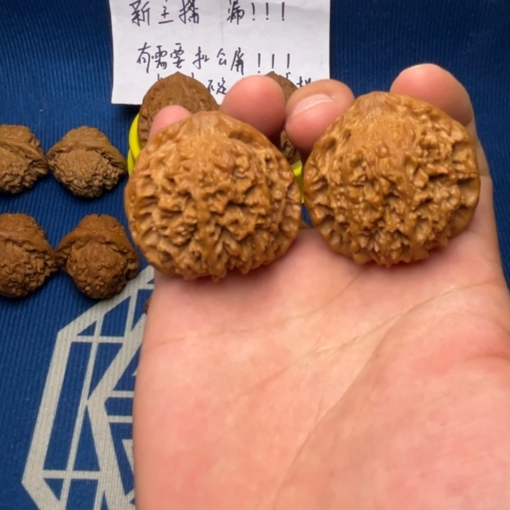 核桃41尺全品满天星