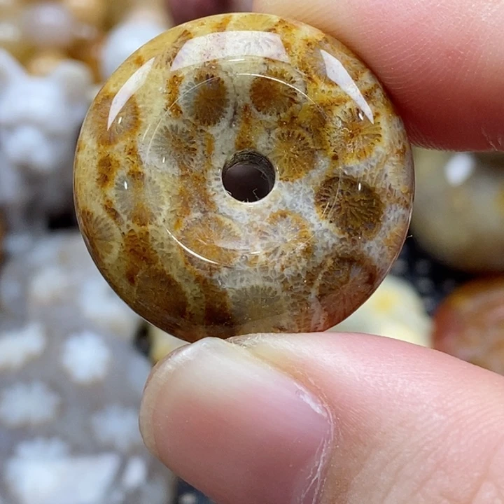 硅化珊瑚（珊瑚玉）颈饰未镶嵌小吊坠