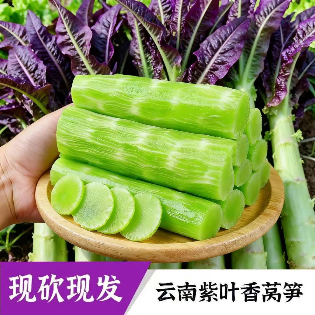 云南高山紫叶香莴笋新鲜现摘当季时令蔬菜适合火锅