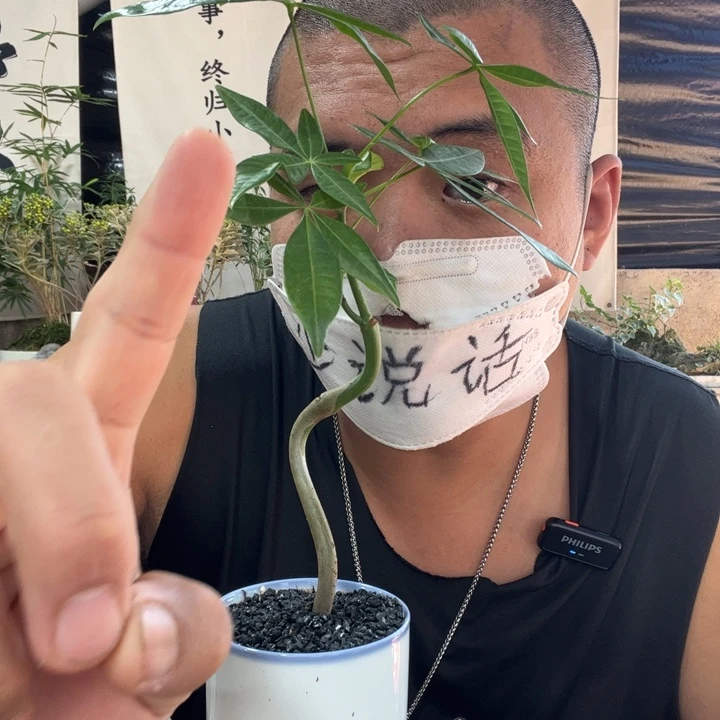 ****酒无花朵退款拉黑拉黑7