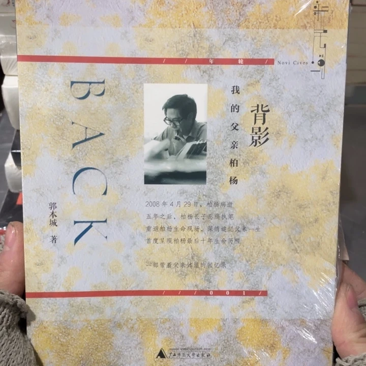 背影我的父亲柏杨塑封