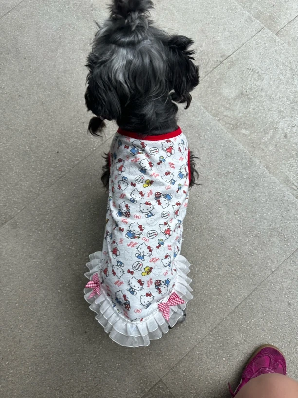 宠物衣服冬季厚款夏季款清仓小型犬大型犬