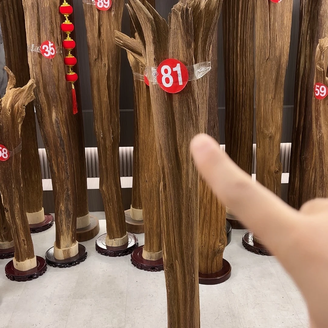 东***红沉香沉香碎屑天然沉香