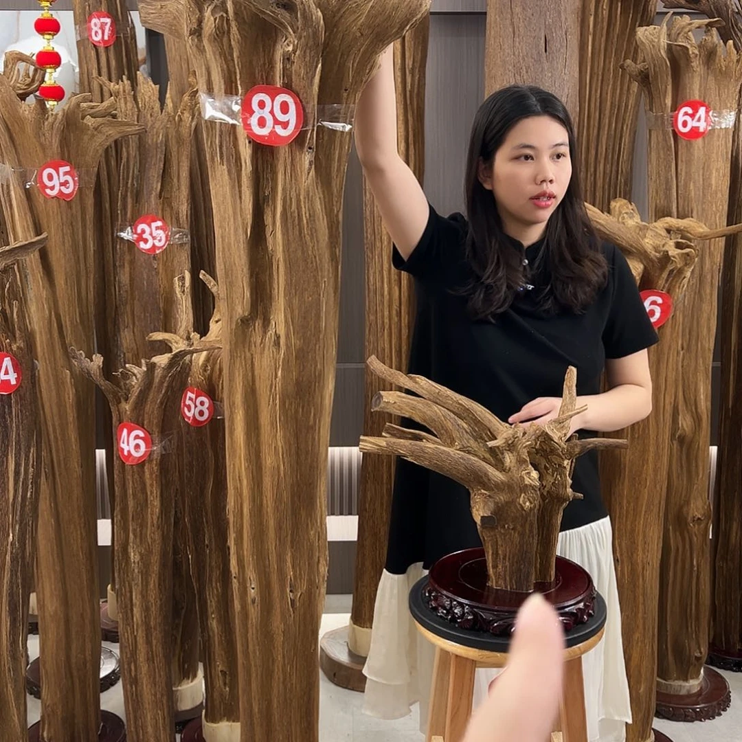 留***尘沉香碎屑沉香天然沉香