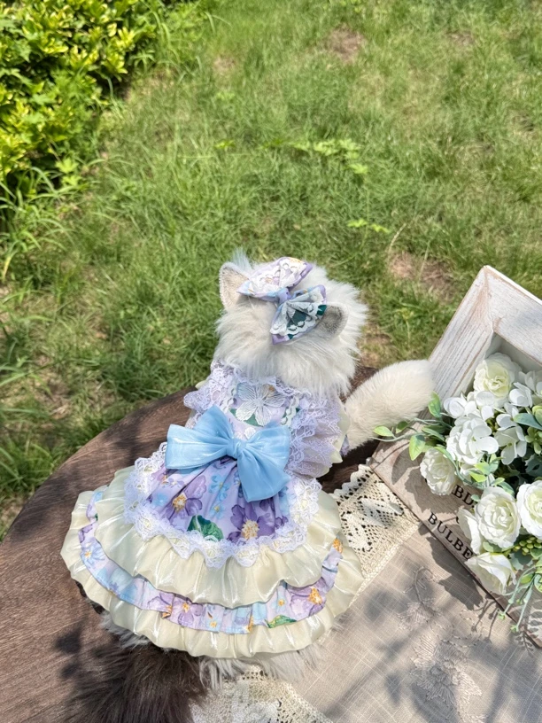AW手工定制蓝紫油画连衣裙女宠物卷毛猫巴哥法斗复古气质高级裙子