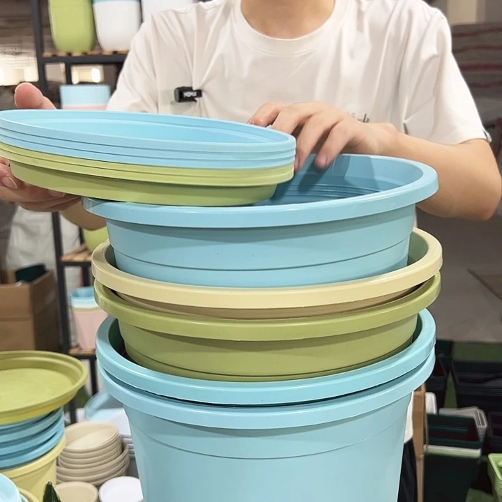 圆控口27.5高27.5混色5只带托