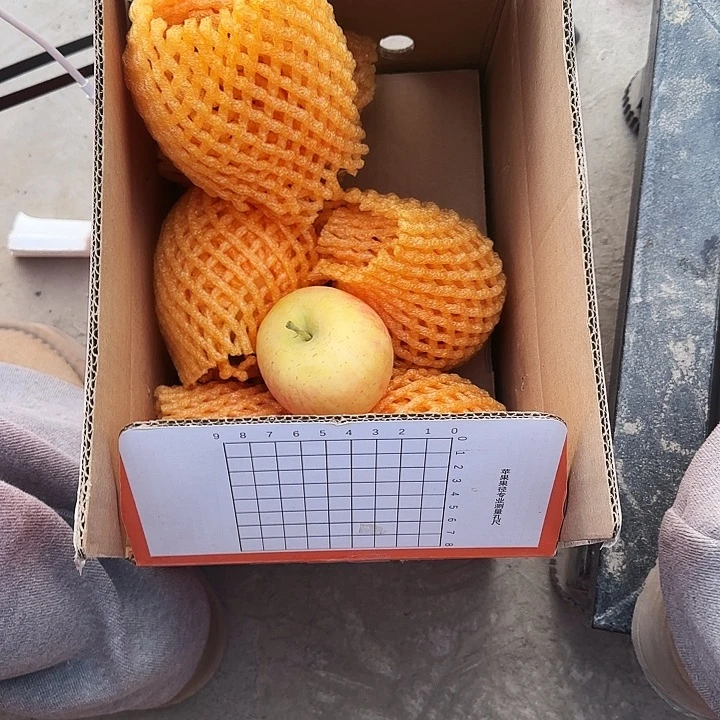 红富士苹果新疆冰糖心光果