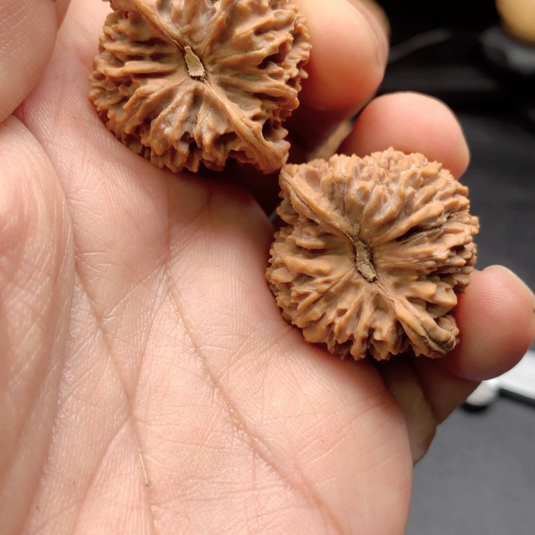 文玩核桃把件杨****n满天星