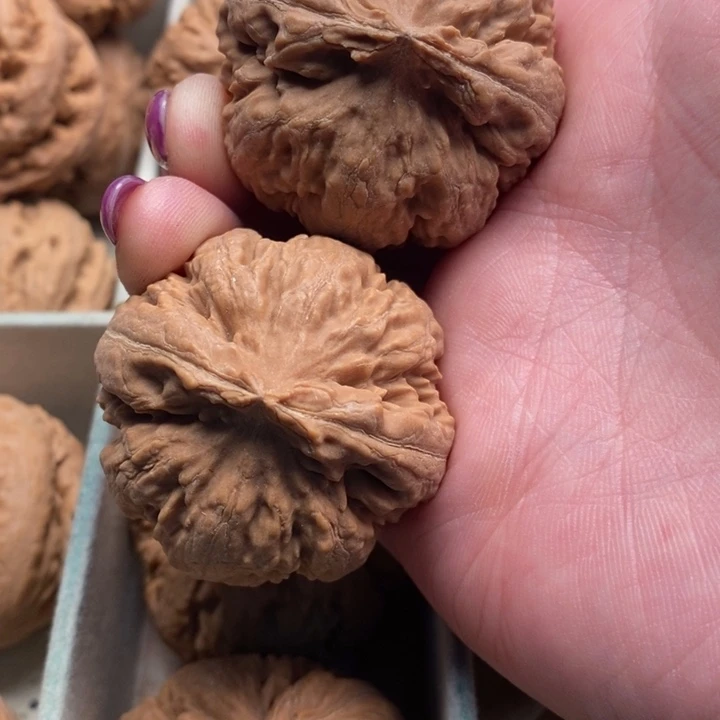 几***️文玩核桃手串霸王龙