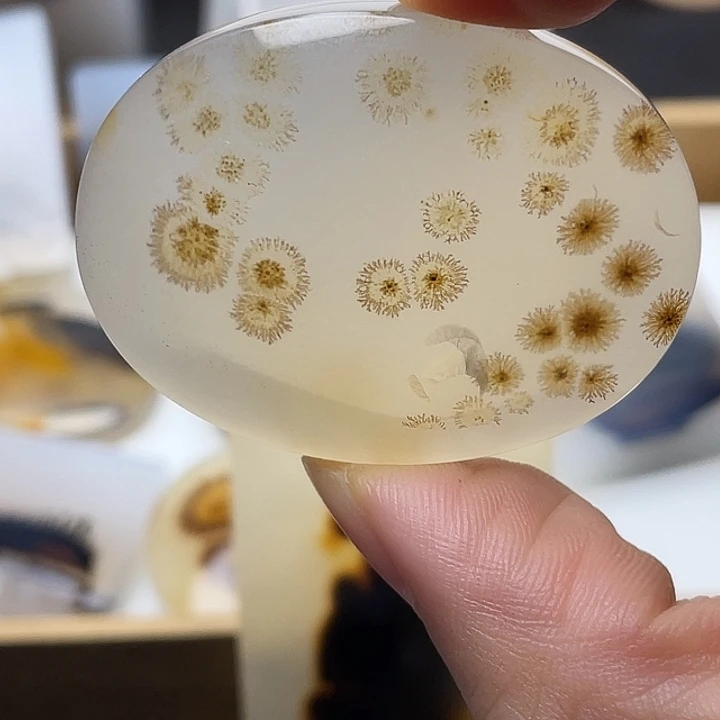 泽***玛瑙/玉髓未镶嵌颈饰