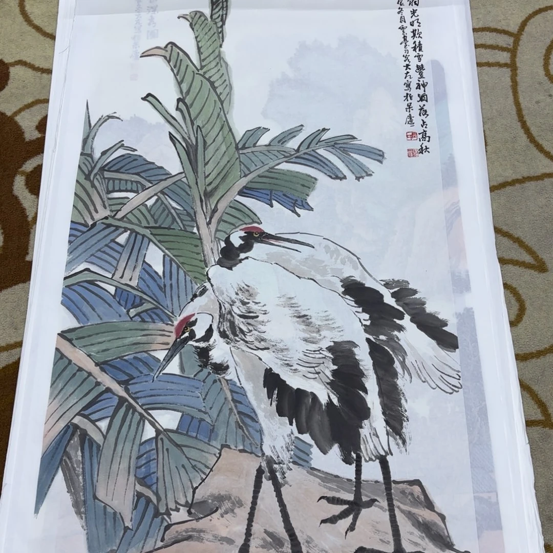 国画李欣主播李欣主播