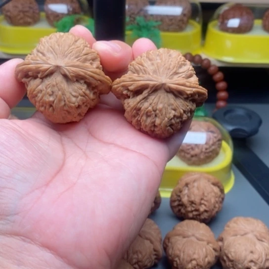把件文玩核桃火****?白狮子