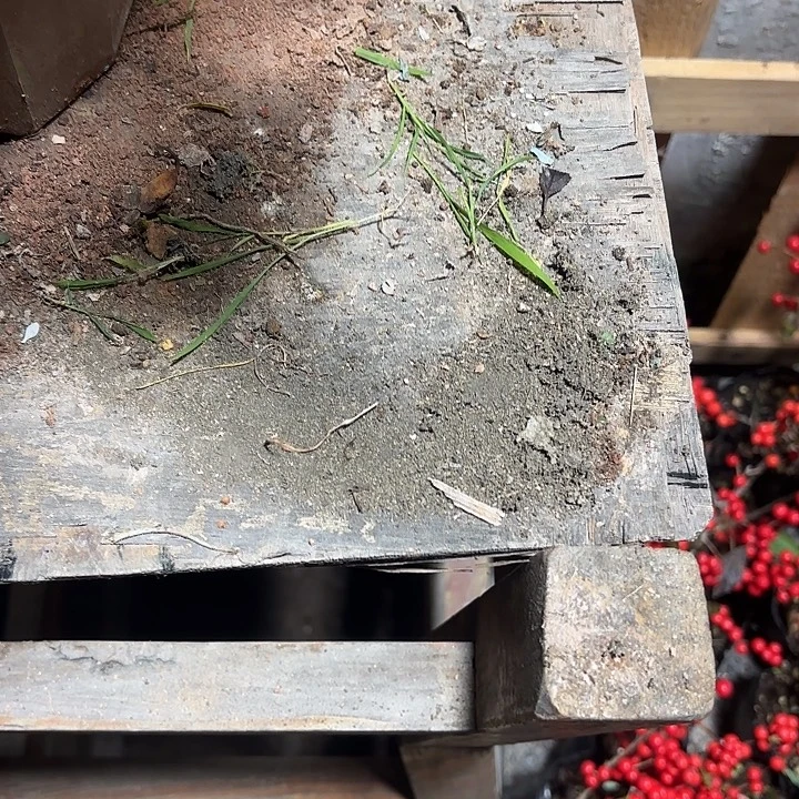 王***坤无花朵哈哈哈哈哈哈