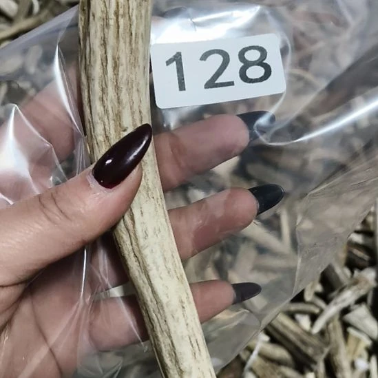 熊****鹿角鹿角鹿角鹿角鹿角鹿角