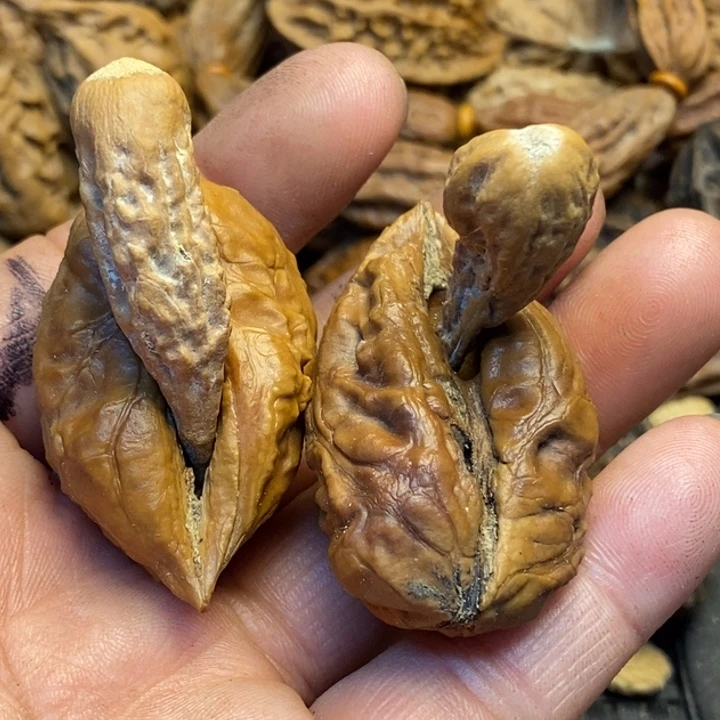 金***¹吊坠文玩核桃娜姐125